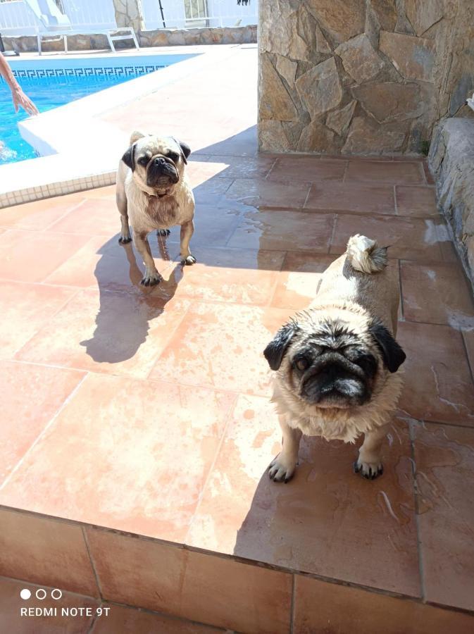 Costa Blanca Apartment